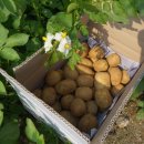 내동행정복지센터 이미지