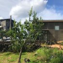 살롱드정원 이미지