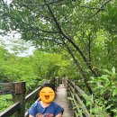 자동차휴게소 | 한라산 1100고지 휴게소 아이와 습지탐방 자동차 후기