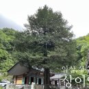 명운농장 네이버블로그