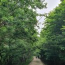 솔바람길 이미지