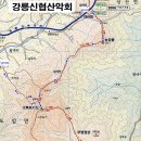 2024년2월29일 대관령 능경봉 고루포기산 산행 이미지