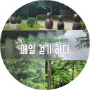 당고개 순교성지 | 서울천주교당고개순교성지 걸으면서 산책과 묵상하며 만나는 풍경이 일상이다.