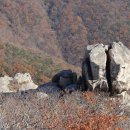 금산-38 티스토리