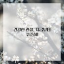 내몸에 건강이야기 이미지