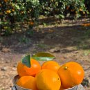 야크마을 이미지