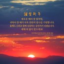 판교대림공인중개사사무소 이미지