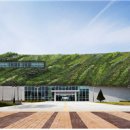 하단동175 이미지