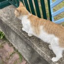 씨유 도안빌리지점 | 너의 인생에 꽃이 필 테니