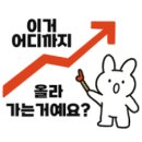현재 파멸적인 코스피 애프터마켓 상황 이미지