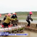 개풍농장 이미지