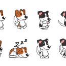 도그바이러스 이미지