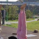 피네폴스튜디오