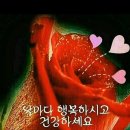 🔯건강정보 💕 굴 의 효능 이미지