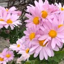 운문우체국 이미지