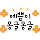 설레이는밤 네이버블로그