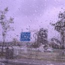 거제식물원 | [거제도 가볼 만한 곳 추천] 실내 데이트, 아이랑 가볼 만한 곳 거제 식물원 정글돔 후기