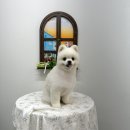 홀리몰리살롱 이미지