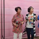 남구-100 이미지