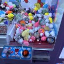 스타짱오락실 이미지