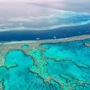 “바다도 뜨겁다”… 세계 최대 호주 산호초 군락에 빨간불 이미지