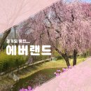 통큰딱따구리 | 에버랜드 가든패스 : 벚꽃엔딩