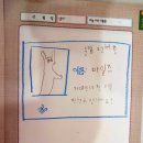 자동차랜드 이미지