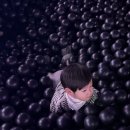 주완농장 이미지