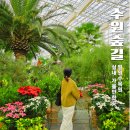 [일원2] 아크릴화 산책 | 수원 실내 가볼만한곳 겨울 산책코스 일월수목원 주차장 입장료