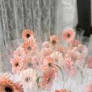 봉림초등학교 | 창원사림동꽃집 꽃살랭, 봉림초등학교 입학식 축하꽃다발 후기