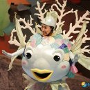 무지개물고기 이미지