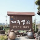 카페술도가제주바당 이미지