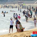 해운대해수욕장 이미지