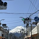 [일본/후지산🗻] 마이리얼트립 후지산 일일투어 후기