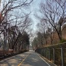 11545-03-17-14 | 서울둘레길12코스(호암산) ~ 서울둘레길13코스(안양천 상류) ~ 서울둘레길14코스(안양천 하류) 탐방후기