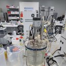 K-NIBRT mRNA 백신 제조공정 실습 교육 후기