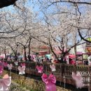 인어공원 화장실 이미지