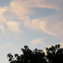 진미명가 이미지