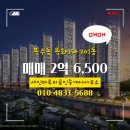 목화(1차) 이미지