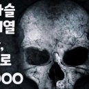 지금의 인간을 만든 결정적 사건들 I 인간의 숨겨진 역사 [뉴마인드]