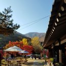 토지면 연곡사 입구 이미지