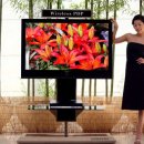 영어 회화A 이미지