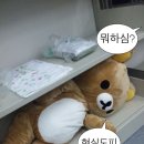 희 이미지