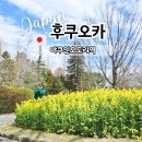 여의도동물약국 | 후쿠오카 지하철 여행 산책하기 좋은 동네 야쿠인오도리역