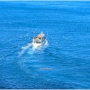 부산 영도 태종대 이미지