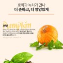 펌킨 이미지