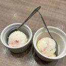 미도리여행 | 스시노미도리 시부야점 웨이팅 없이 즐긴 도쿄 여행 맛집 솔직 후기