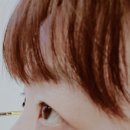 압구정-218 | 힙한 일산속눈썹펌《압구정언니》 솔직후기요~