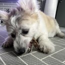 나정푸드 이미지