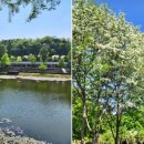 브라운도트 검단신도시점 이미지